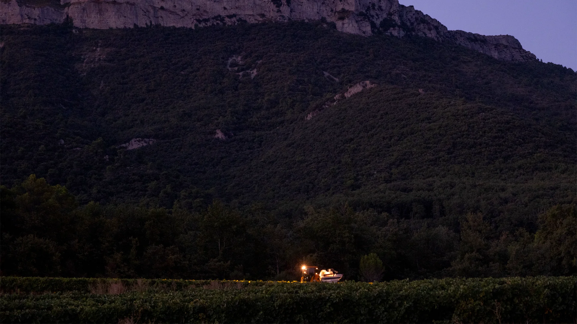 Clos La Neuve, fin des vendanges domaine Médoc, RAAD Studio de Création